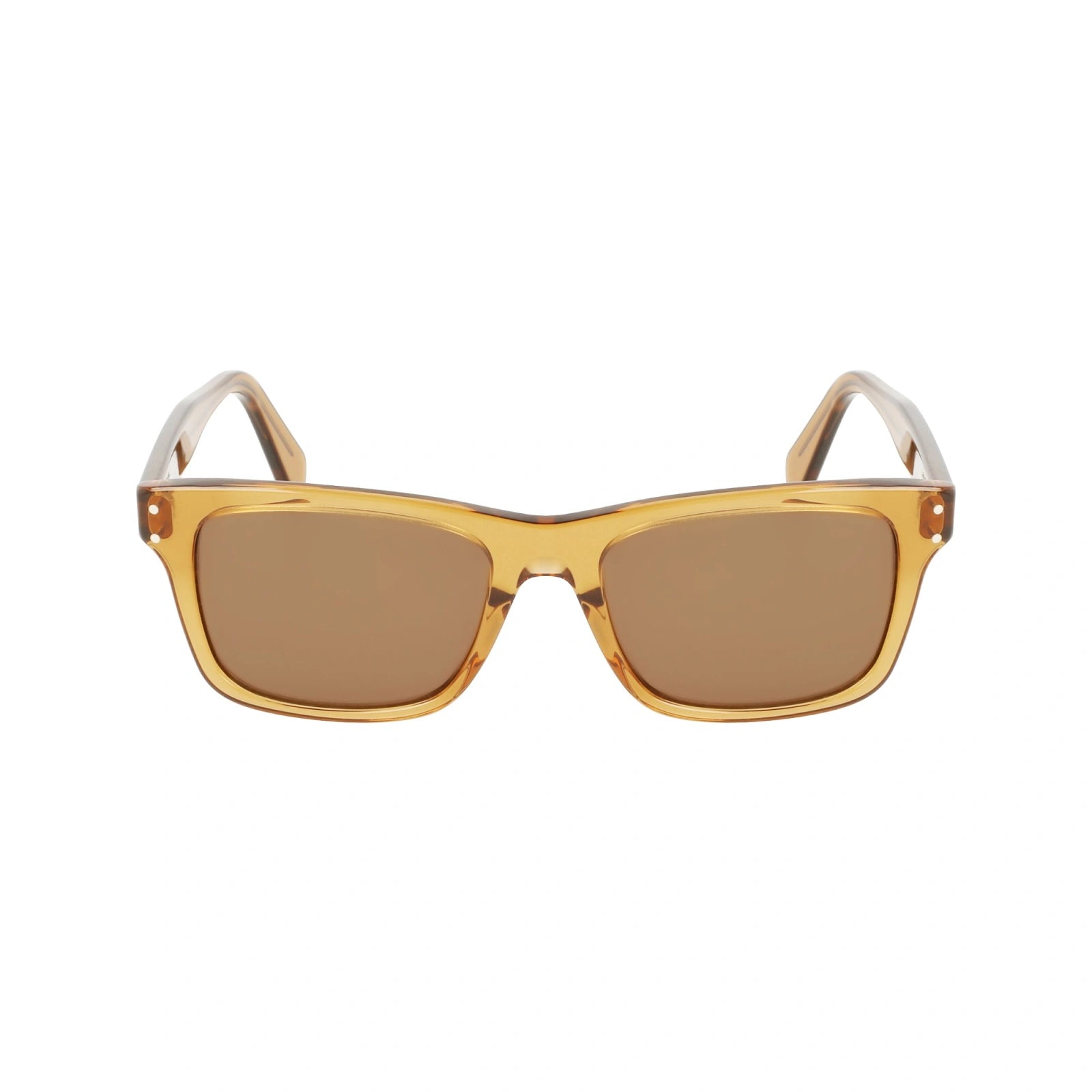 SALVATORE FERRAGAMO 1039S 261 54