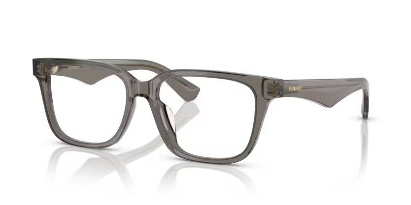 BURBERRY OBE 2425D 4116 54