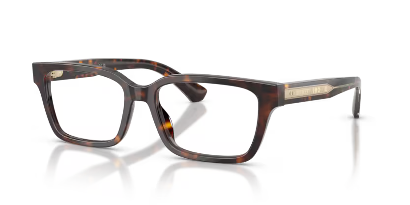 BURBERRY OBE 2453 4205 53