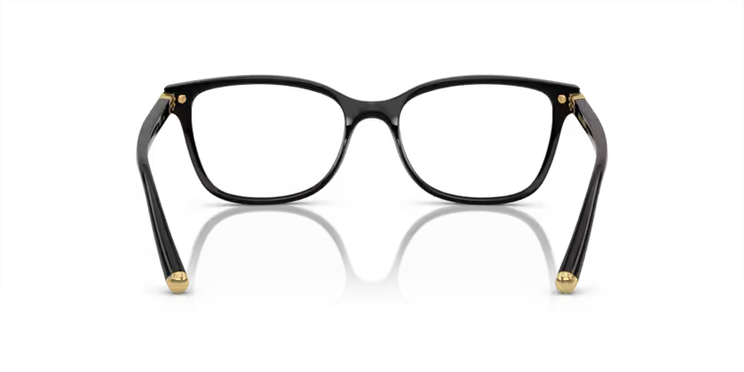 DOLCE & GABBANA ODG 5036 501 53