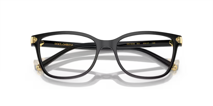 DOLCE & GABBANA ODG 5036 501 53