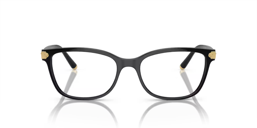 DOLCE & GABBANA ODG 5036 501 53