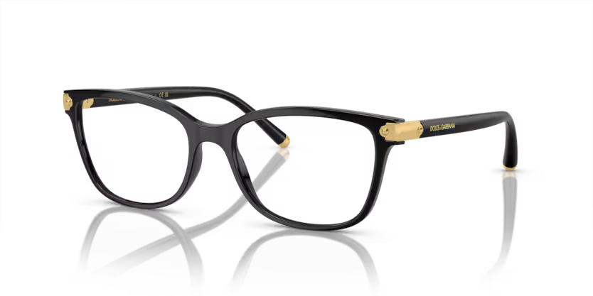 DOLCE & GABBANA ODG 5036 501 53