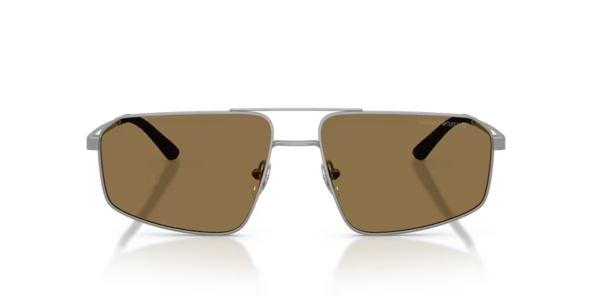 EMPORIO ARMANI EA 2173 303273 59