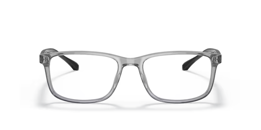 EMPORIO ARMANI EA 3098 5029 53