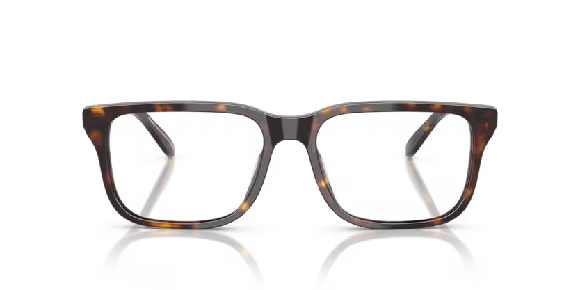 EMPORIO ARMANI EA 3250U 5026 54