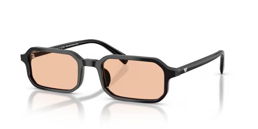 EMPORIO ARMANI EA 4253U 501793 54