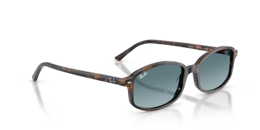 RAYBAN 222 13563M 54
