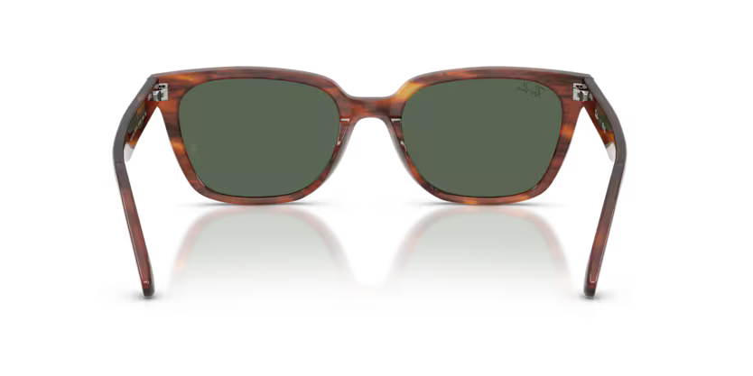 RAYBAN  ORB 2243D 954/71 55