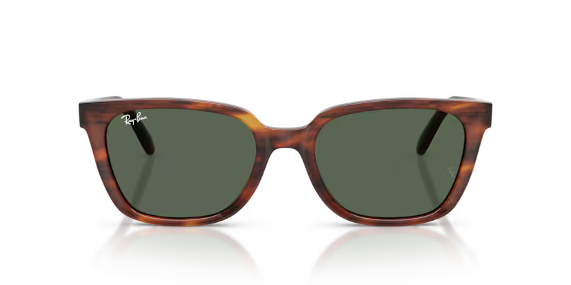 RAYBAN  ORB 2243D 954/71 55