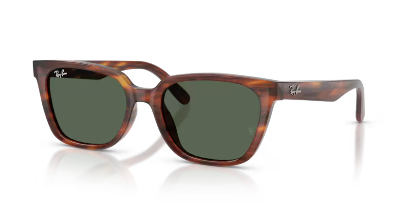 RAYBAN  ORB 2243D 954/71 55