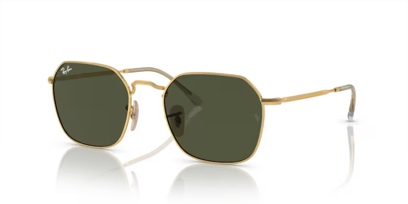 RAYBAN - 3694 011/31 53