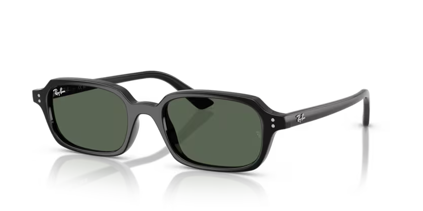 RAYBAN RB 4455 667771 52