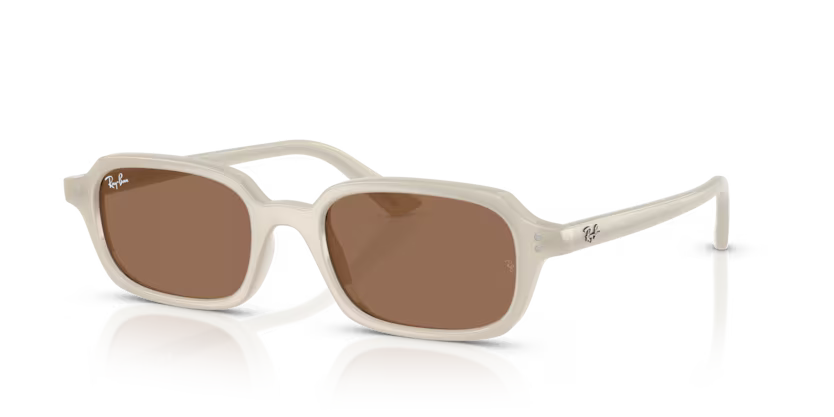 RAYBAN 4455 680873 52