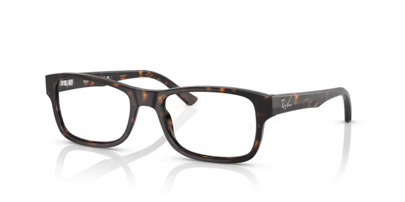 RAYBAN RX 5268 2012 52