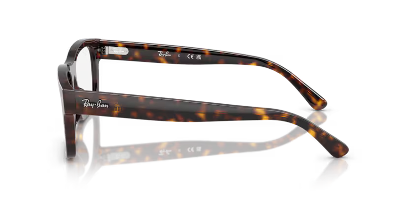 RAYBAN RX 5435 2012 54