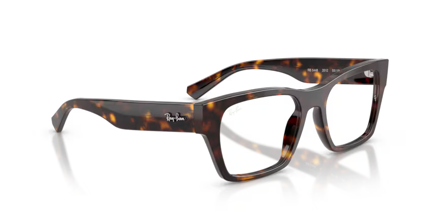 RAYBAN -ORX 5448 2012 53