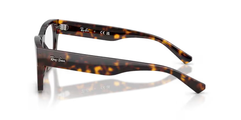 RAYBAN -ORX 5448 2012 53