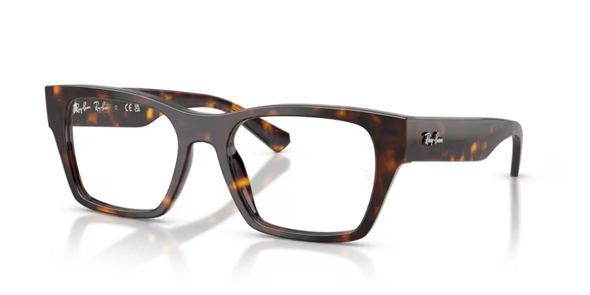 RAYBAN -ORX 5448 2012 53
