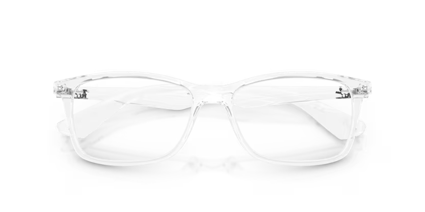 RAYBAN -ORX 7047 2001 54