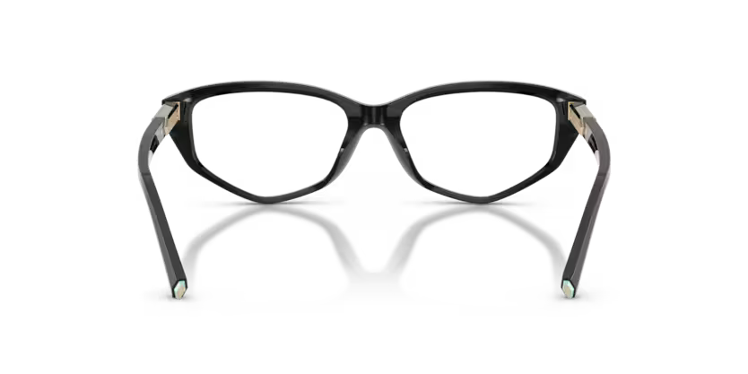 TIFFANY & CO TF OTF 2276 8001 52