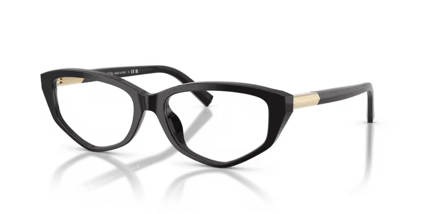 TIFFANY & CO TF OTF 2276 8001 52