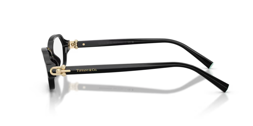 TIFFANY & CO TF OTF 2293U 8001 54