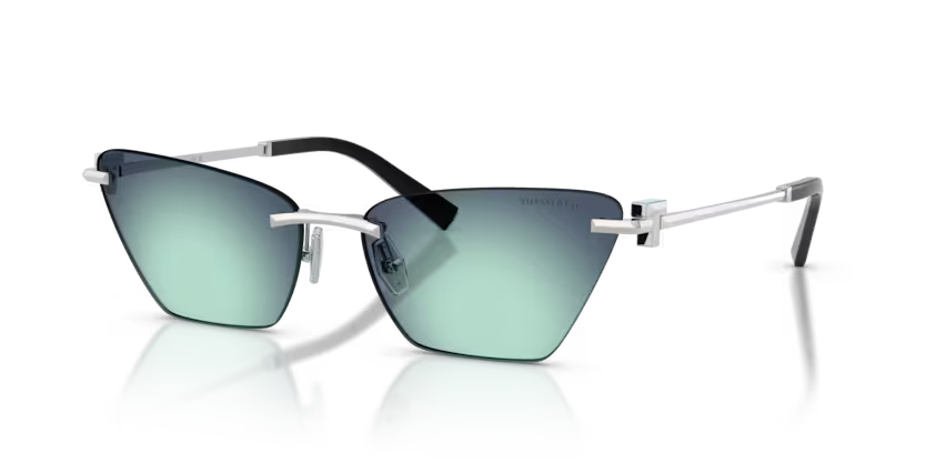 TIFFANY & CO TF 3120 60019S 61