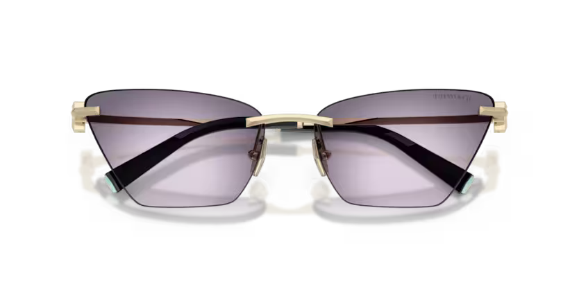TIFFANY & CO TF OTF 3120 62438H 61