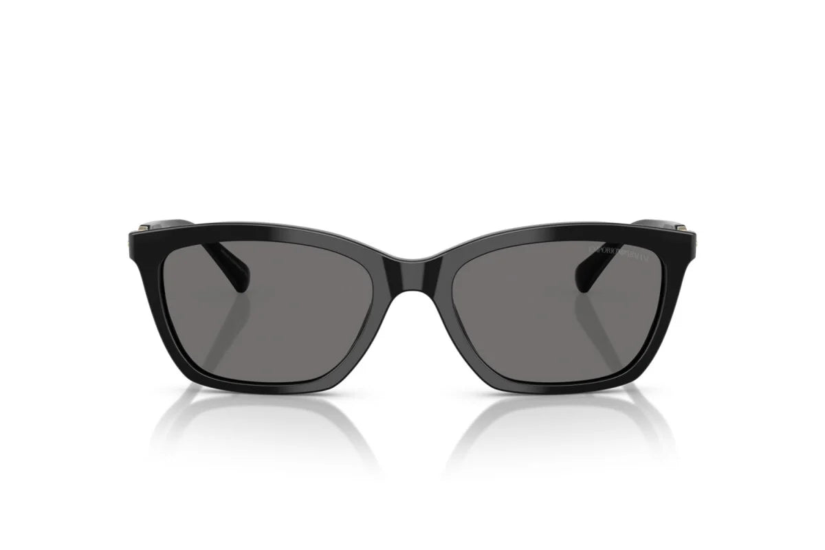 EMPORIO ARMANI - 4238 5017/81 54