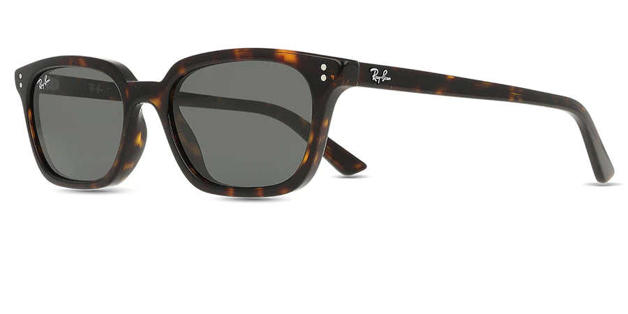 RAYBAN RB 4456 135987 53