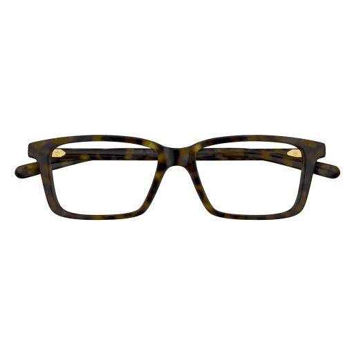 GUCCI  GG 1672O 002 53