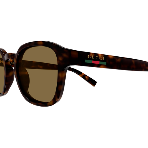 GUCCI  GG 2106S 002 49