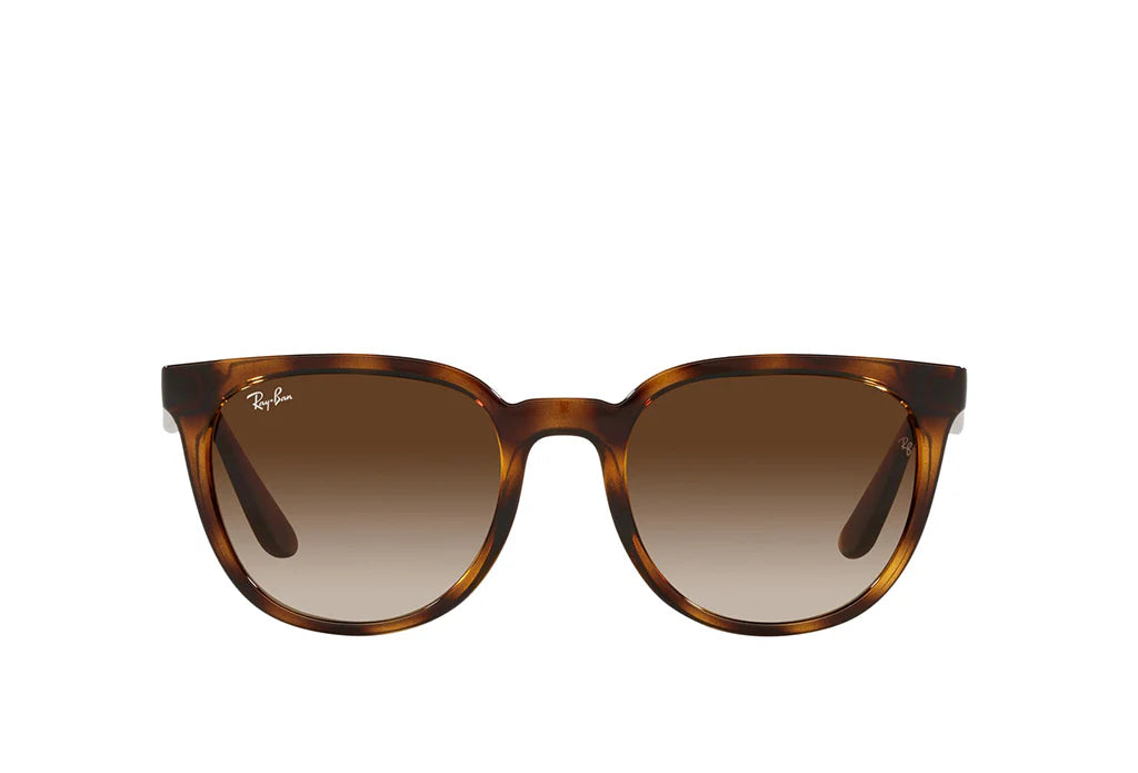 RAYBAN RB 4381I 710/13 53