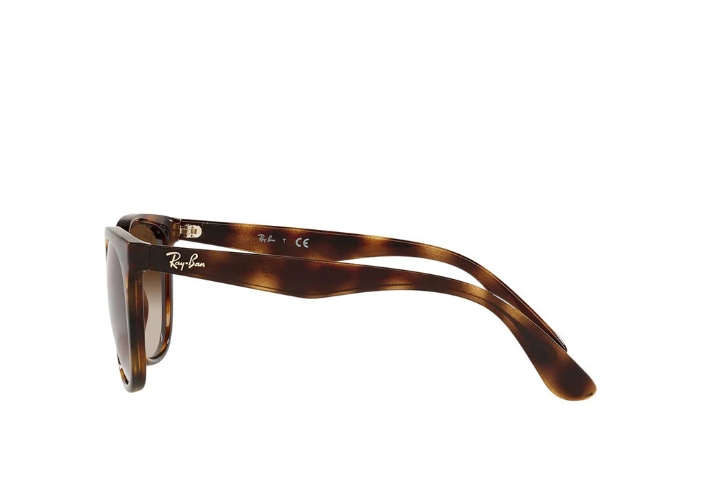 RAYBAN RB 4381I 710/13 53