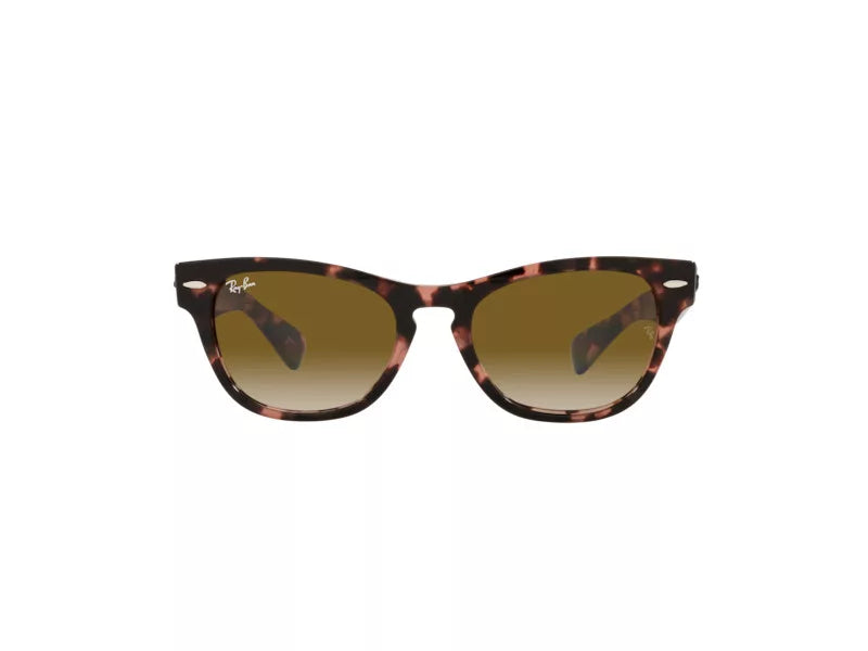 RAYBAN RB 2201 1334/51 54