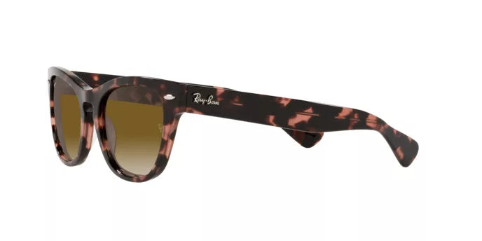 RAYBAN RB 2201 1334/51 54