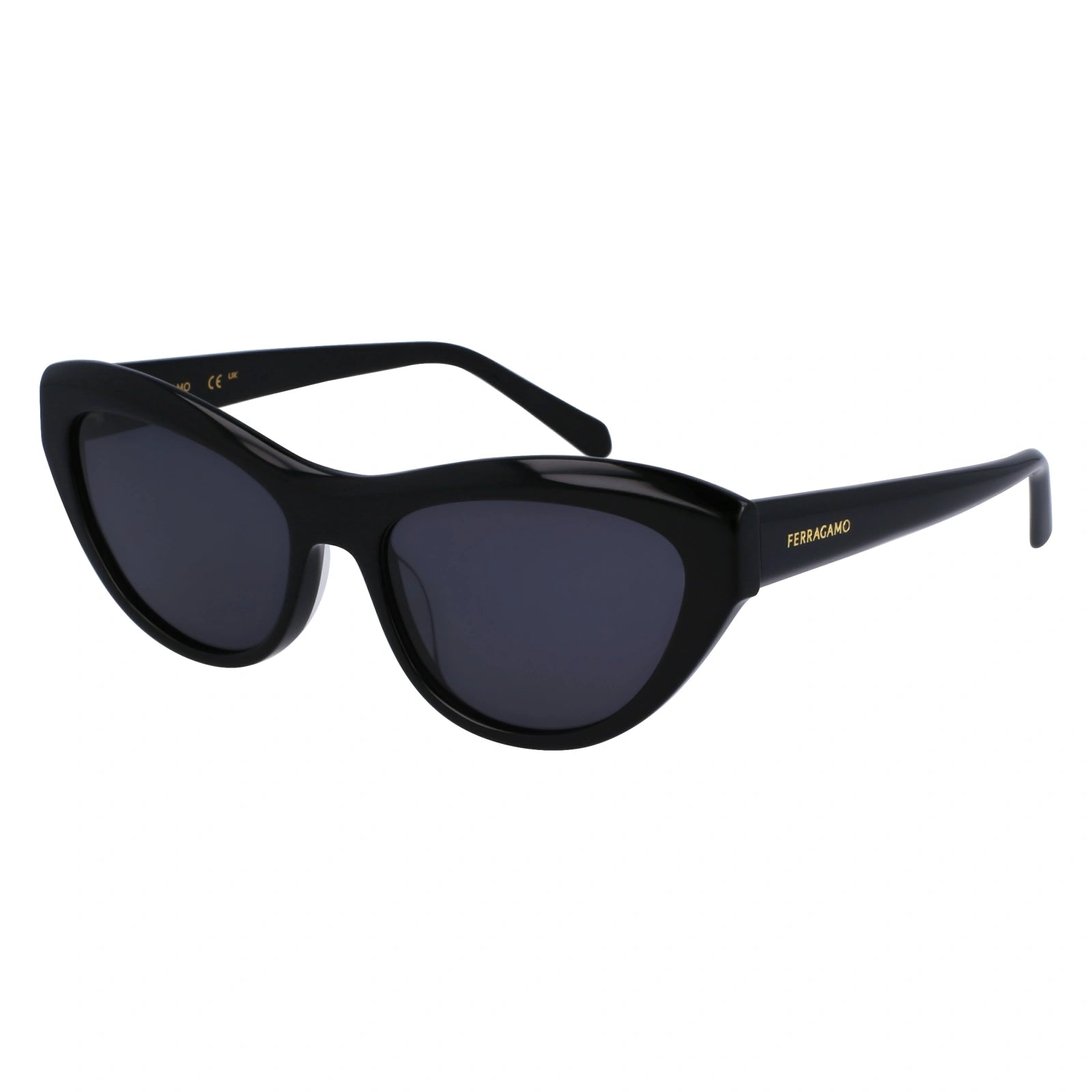 SALVATORE FERRAGAMO SF 1103S 001 55