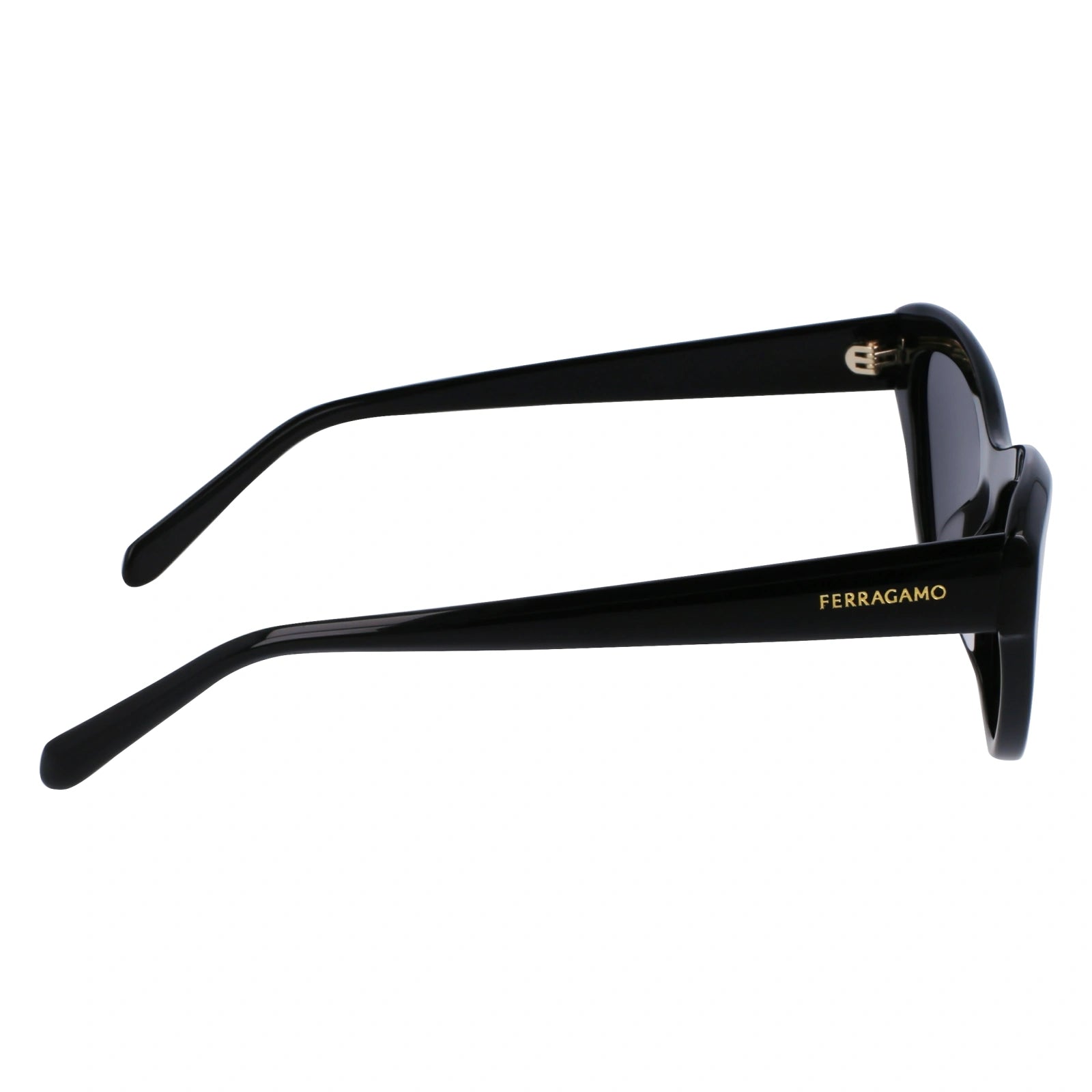 SALVATORE FERRAGAMO SF 1103S 001 55