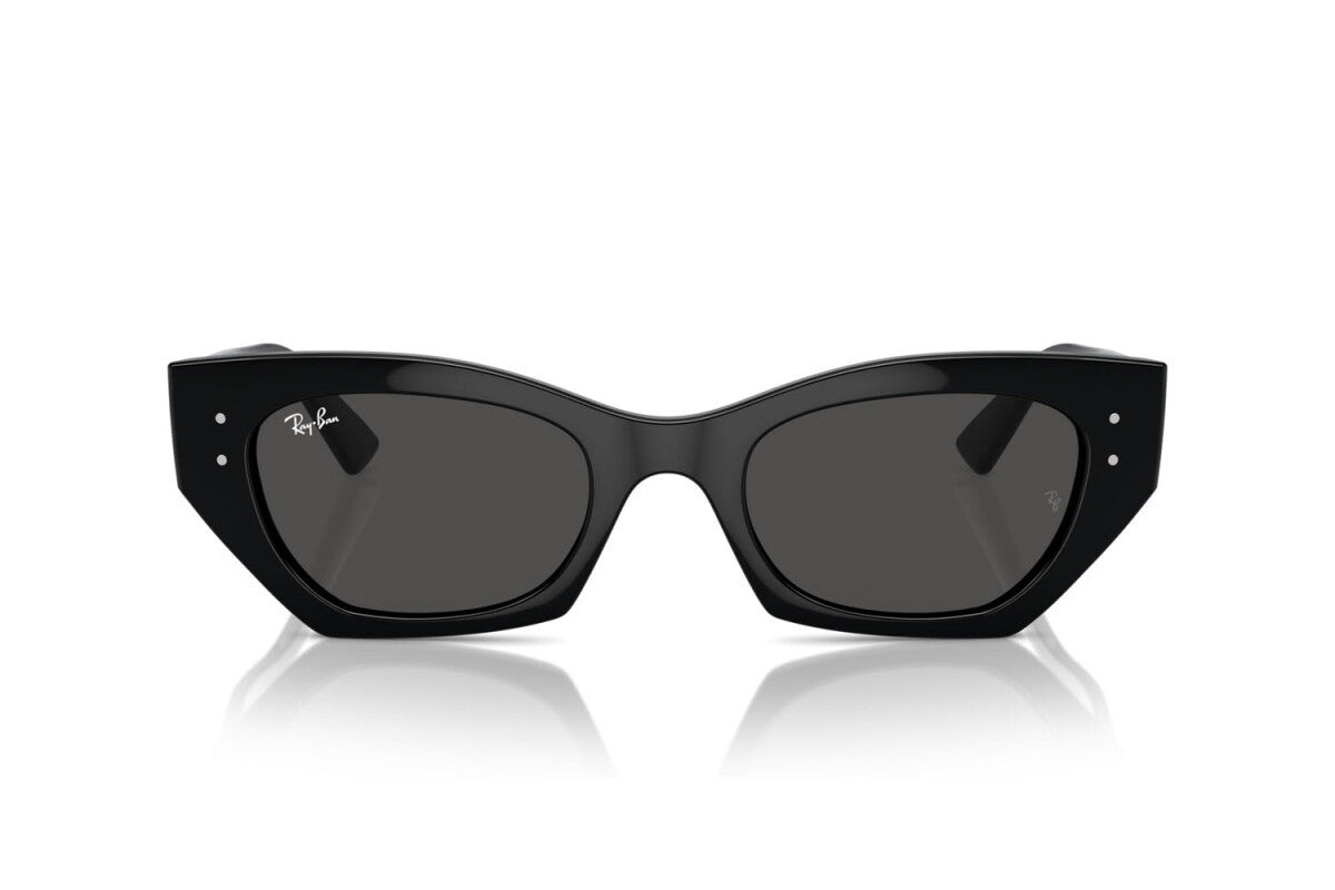 RAYBAN RB 4430 667787 49