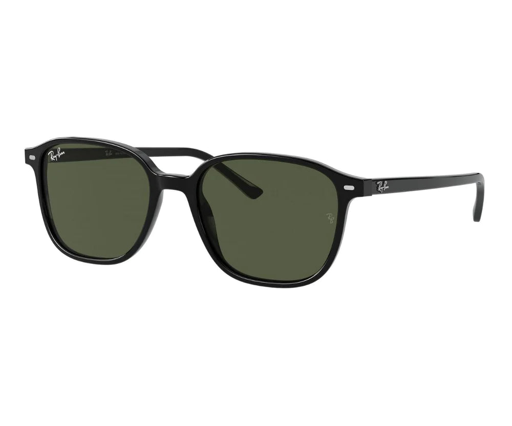 RAYBAN RB 2193 901/31 53