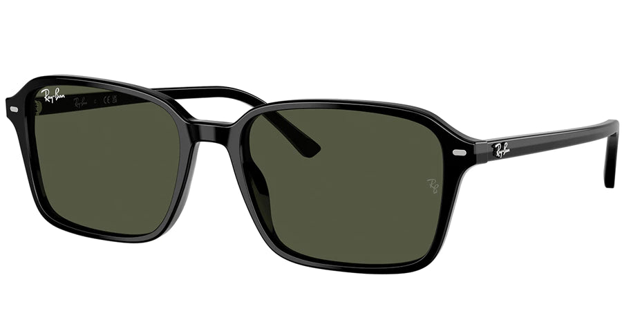 RAYBAN RB 2231 901/31 56