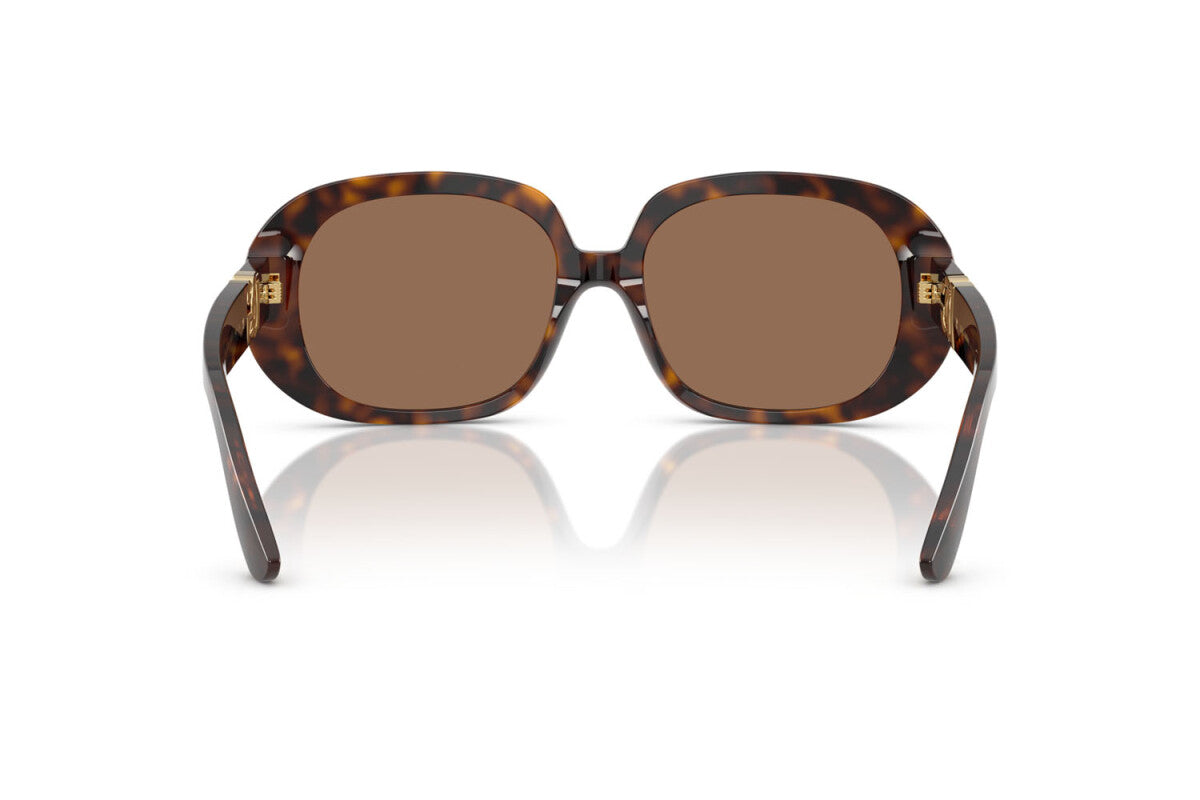 DOLCE & GABBANA ODG 4476 502/73 56