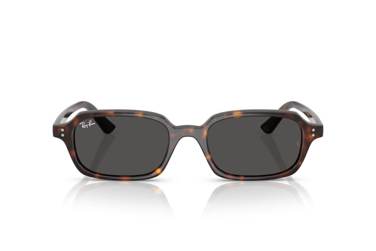 RAYBAN RB 4455 135987 52