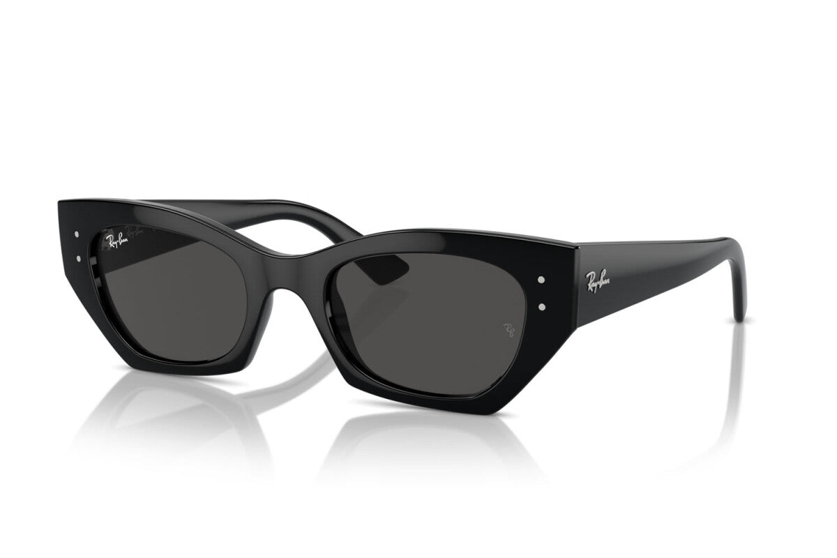 RAYBAN RB 4430 667787 49