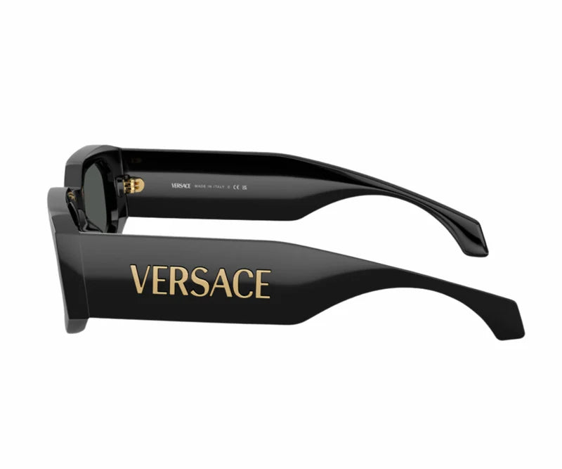VERSACE VE 4489U GB1/87 55