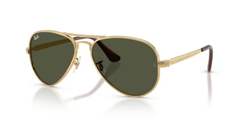 RAYBAN RB 3925 001/31 58