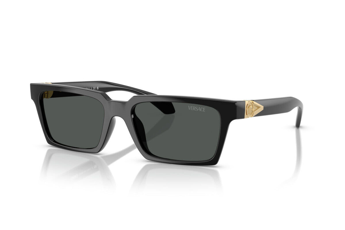 VERSACE VE 4490U GB1/87 55