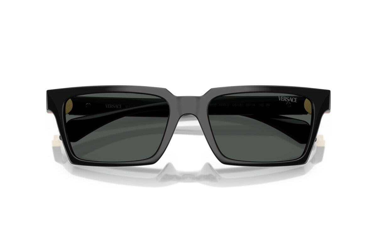 VERSACE VE 4490U GB1/87 55