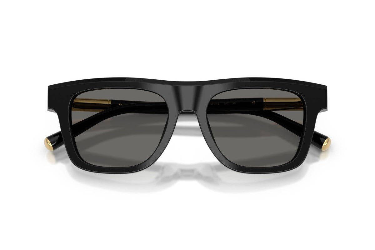 DOLCE & GABBANA ODG 4521 501/52